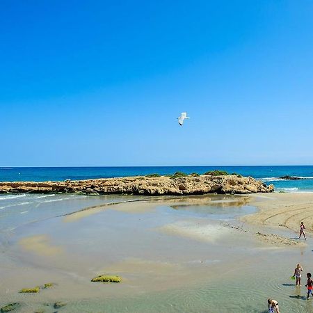 El Bosque Apartman Playa Flamenca Kültér fotó